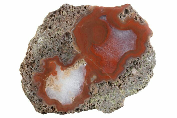 Polished Banded Agate Nodule Half - Bou Hamza, Morocco #373303